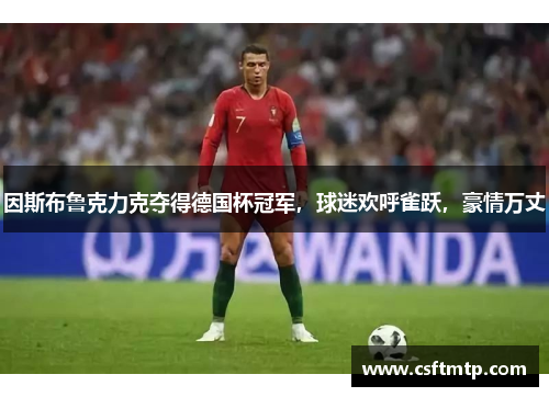 因斯布鲁克力克夺得德国杯冠军，球迷欢呼雀跃，豪情万丈